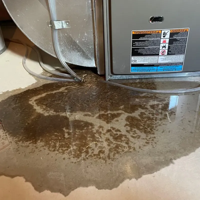 Pipe Burst and Leak Restoration in Breezy Point, MN