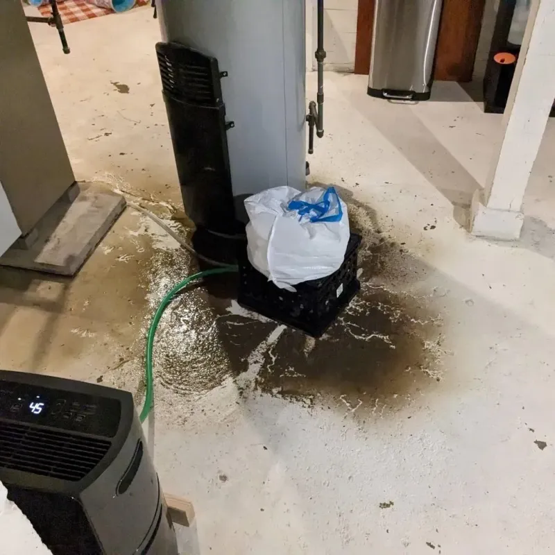 Sewage Backup Cleanup Service in Breezy Point, MN